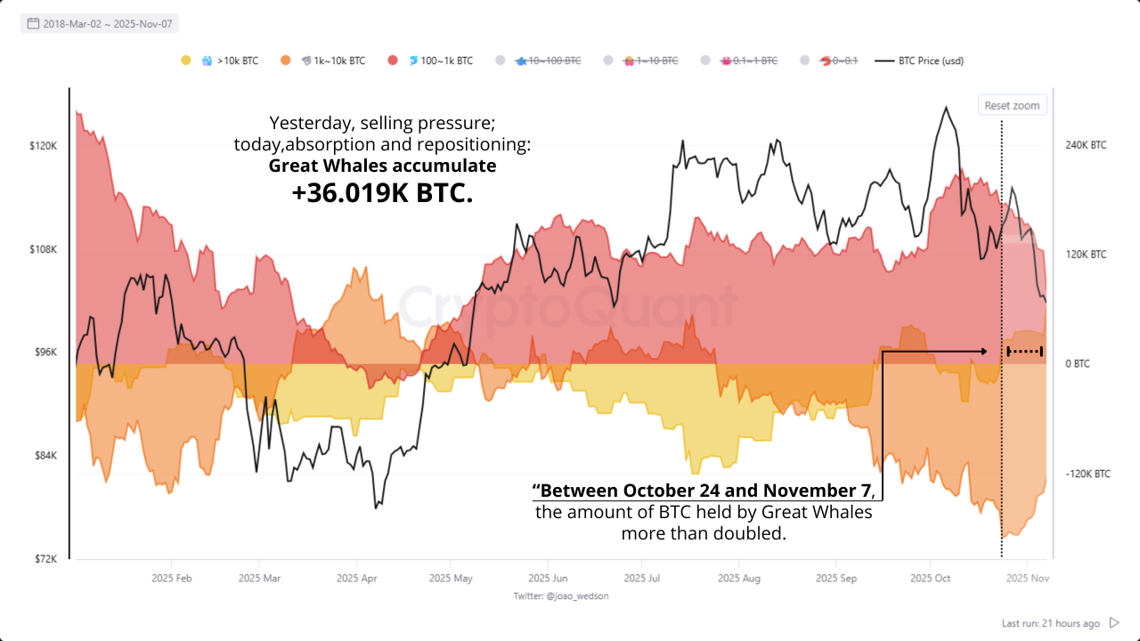 ข้อมูลการสะสม Bitcoin ของวาฬ ( ที่มา : CryptoQuant )