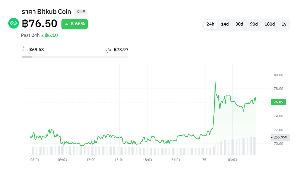 ราคา Bitkub Coin<br>รูปภาพ: CryptoSiam