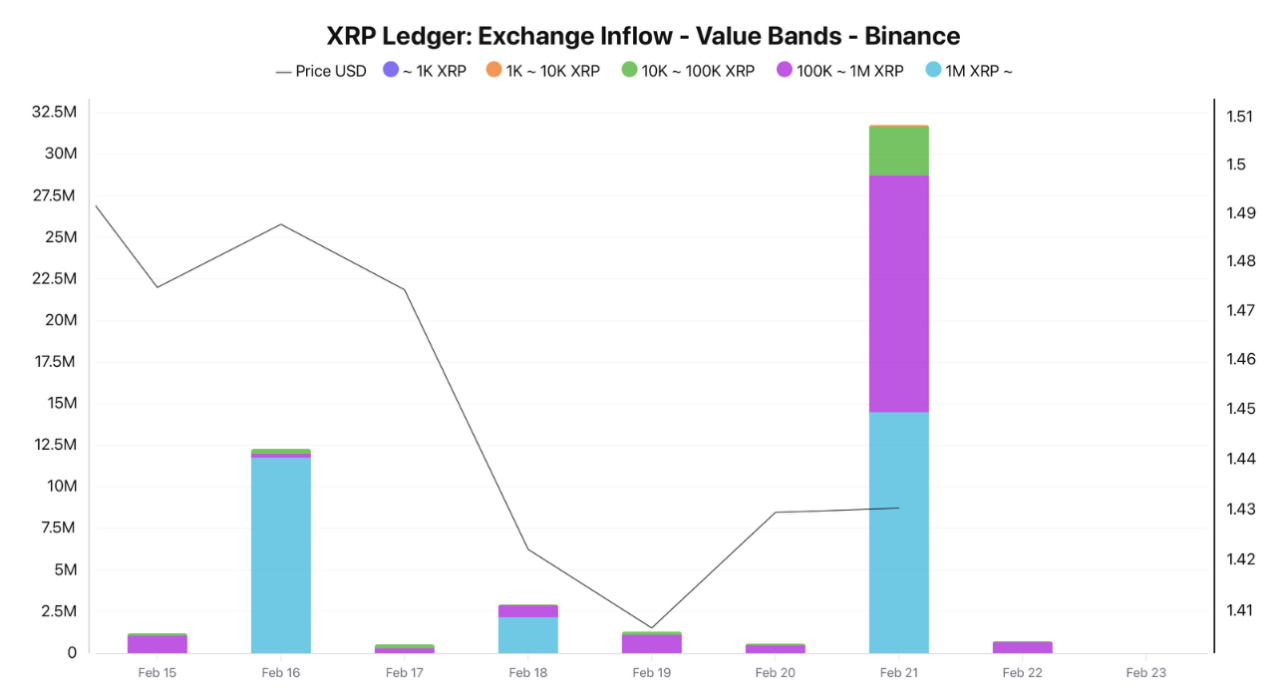 กราฟแสดงปริมาณ XRP ที่ไหลเข้าสู่ Binance จากกลุ่มผู้ถือเหรียญขนาดต่าง ๆ บนเครือข่าย XRP Ledger ที่มา: CryptoQuant