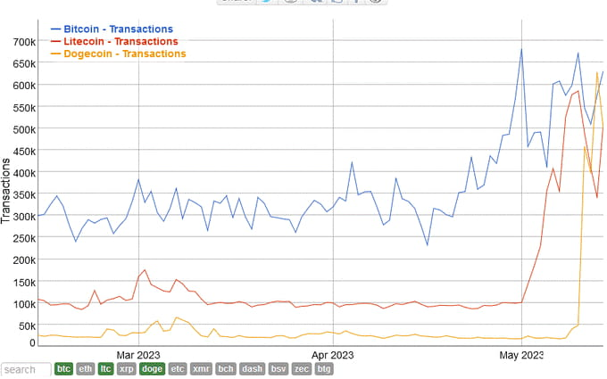 <i>กราฟเปรียบเทียบปริมาณธุรกรรมระหว่าง DOGE, BTC, LTC<br>รูปภาพ:&nbsp;Jack Nam - Crypto Insider / Binance Feed</i>