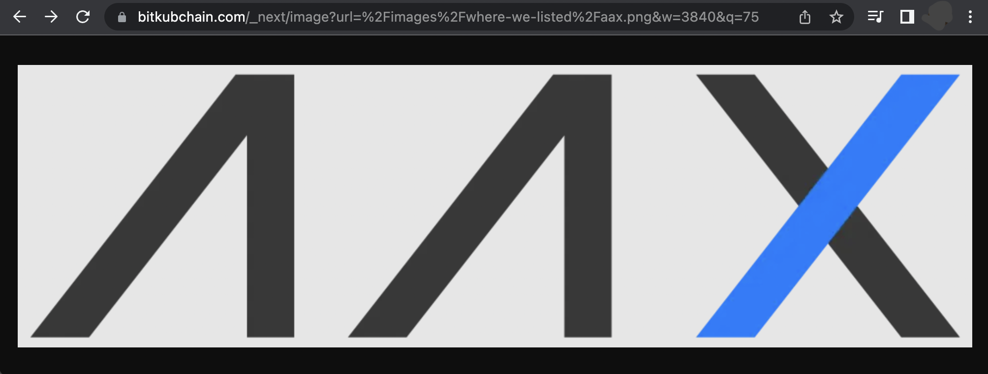 <i>ไฟล์โลโก้ AAX บนเว็บไซต์ Bitkubchain.com</i>