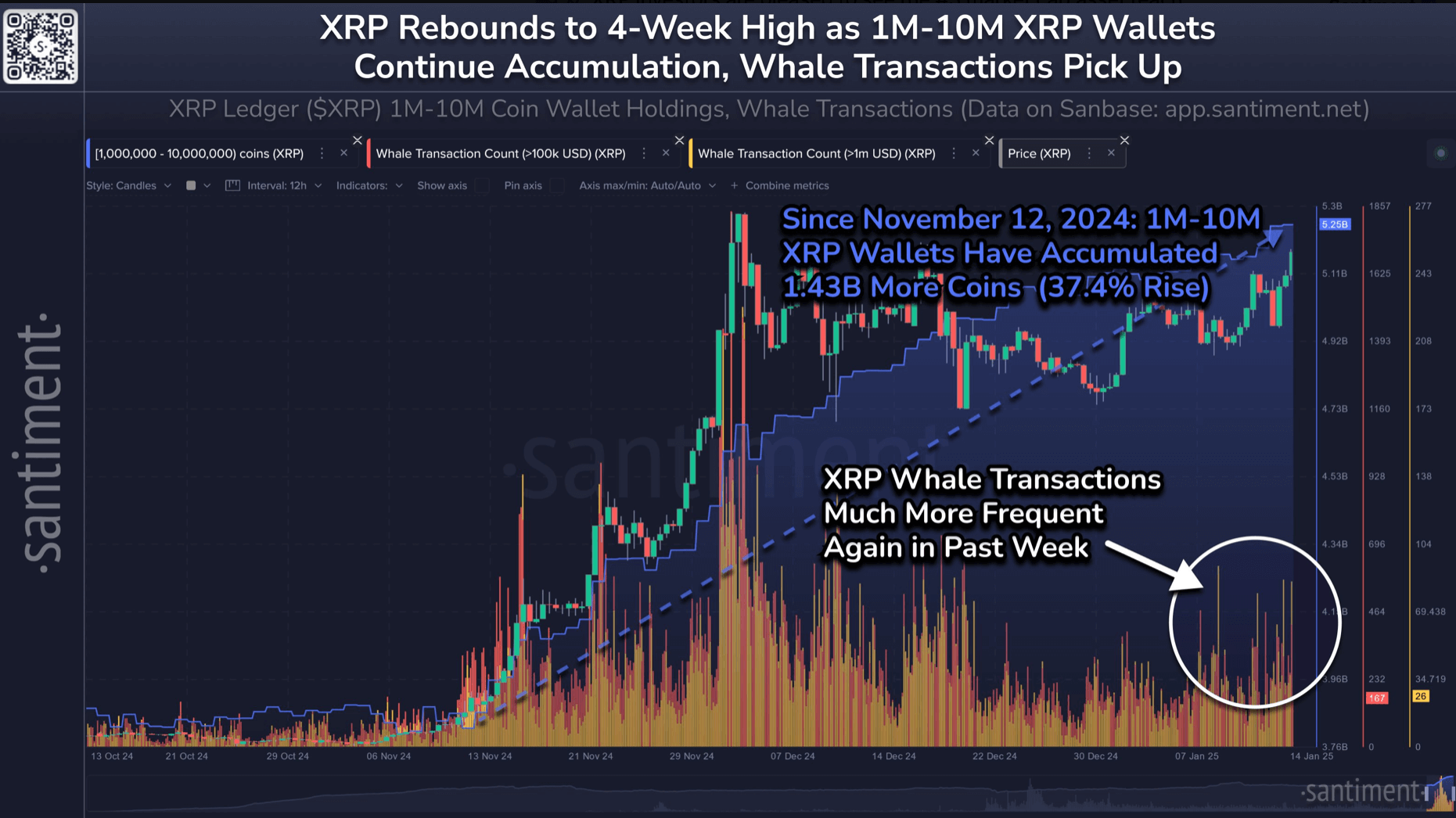 นักลงทุนรายใหญ่ในตลาด XRP (XRP Whales) มีการสะสม XRP อย่างเข้มข้นตั้งแต่เดือนพฤศจิกายน 2024