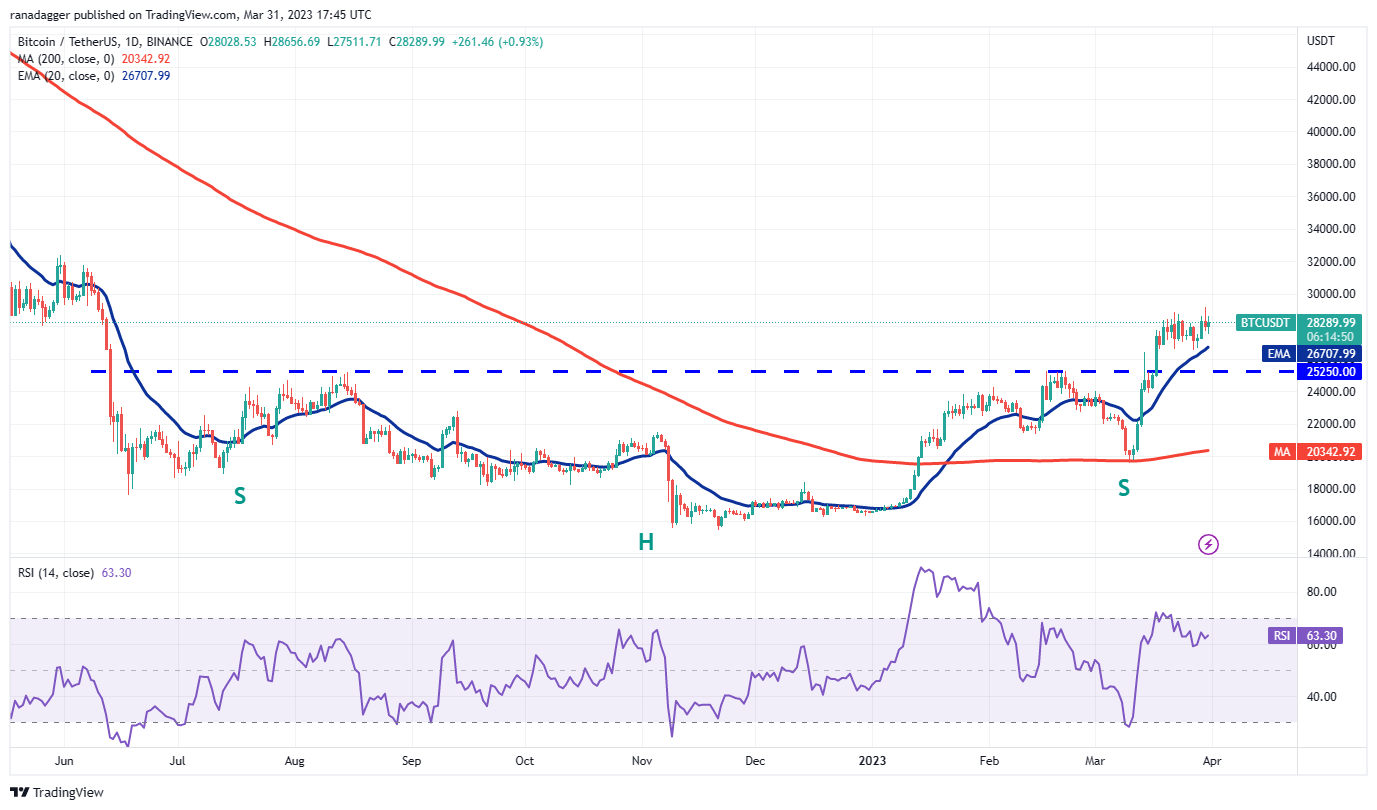 <i>กราฟวิเคราะห์ BTC<br>รูปภาพ: TradingView</i>