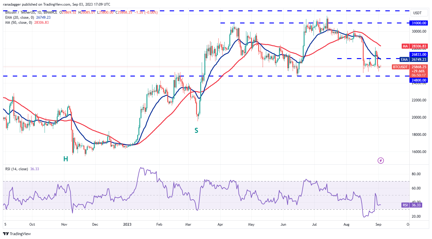 <i>แท่งเทียน BTC รายวัน<br>รูปภาพ TradingView</i>