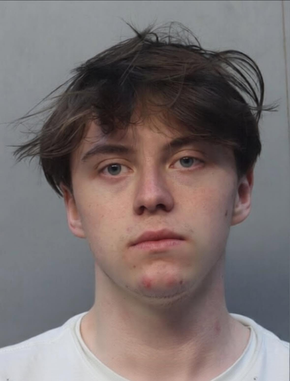 ภาพถ่ายประวัติอาชญากรรมของ Trenton Richard Johnston ( ที่มา : Miami-Dade County)
