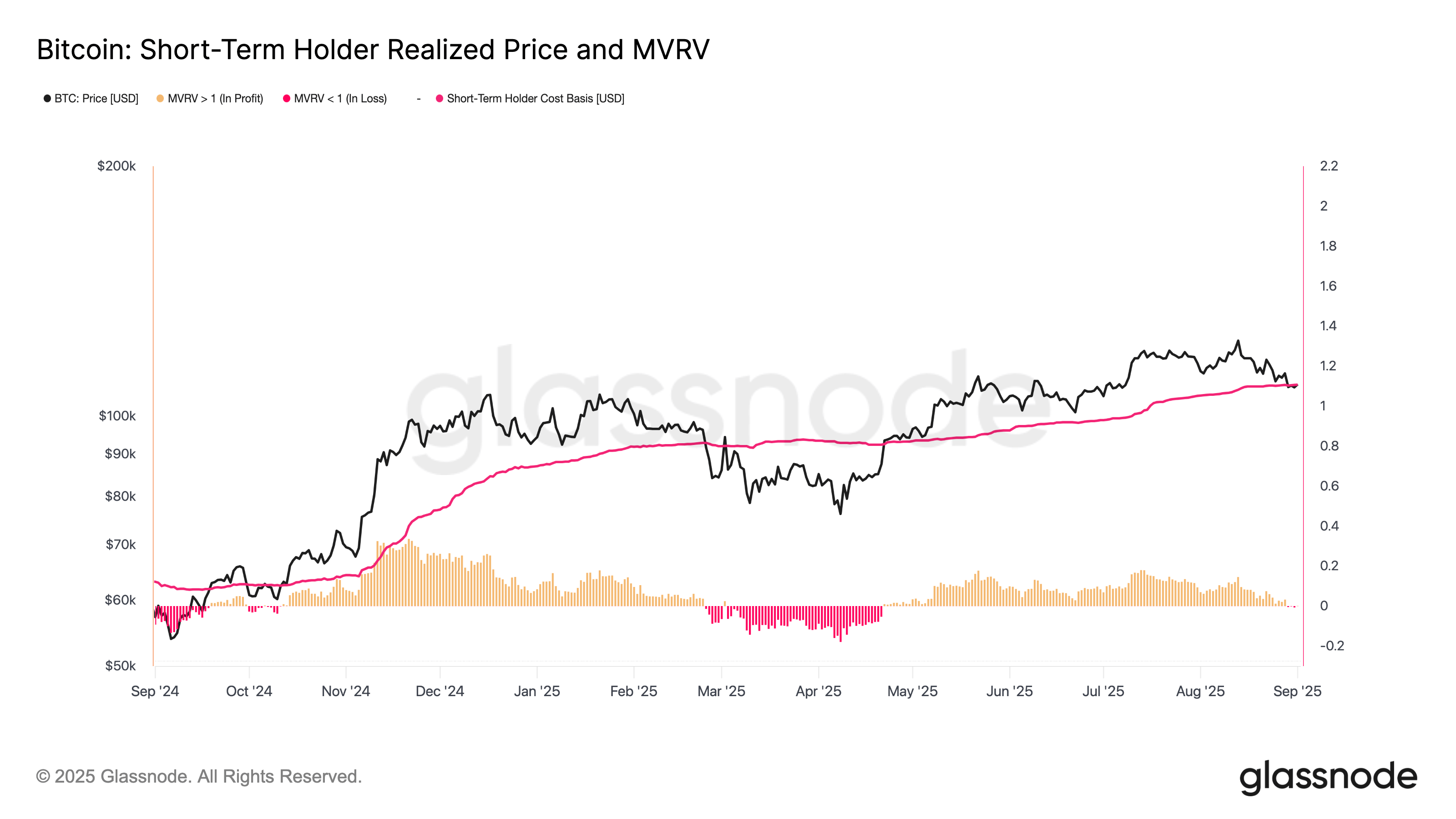 ต้นทุนเฉลี่ยของนักลงทุน Bitcoin ระยะสั้นและ MVRV ( ที่มา : Glassnode )