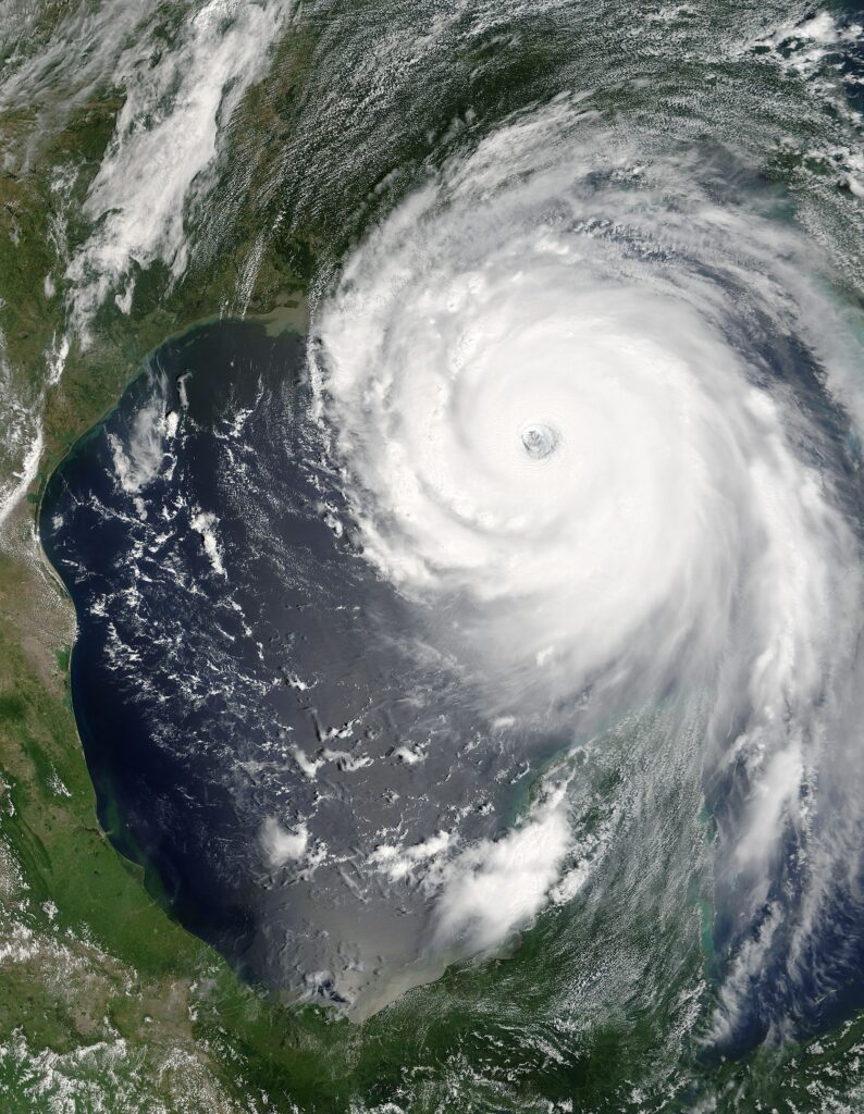 Hurricane Katrina 794x1024.jpg