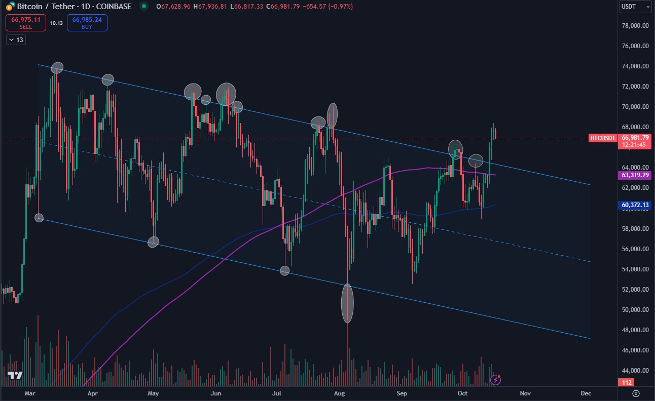 ( กราฟ BTC/USD รายวัน ที่มา : Daan Crypto Trades/X )