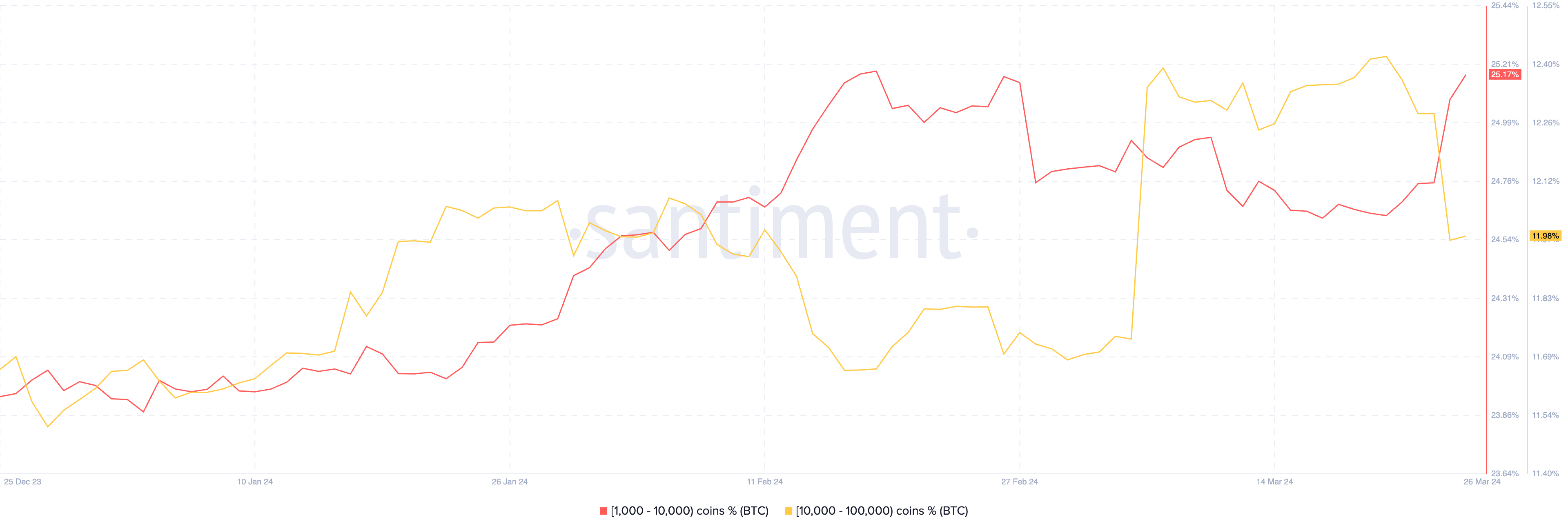 <i>BTC supply distribution<br>รูปภาพ:&nbsp;Santiment</i>