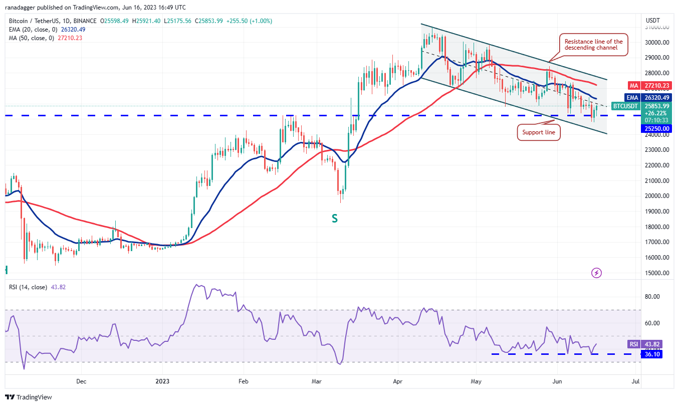 <i>กราฟ BTC/USD รายวัน<br>รูปภาพ: TradingView</i>