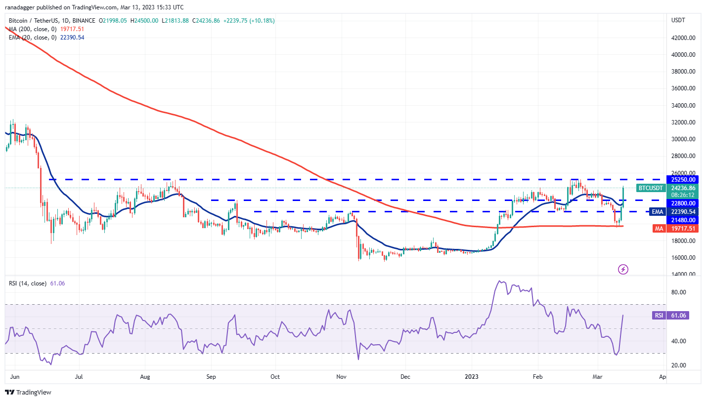 <i>กราฟ BTC/USD รายวัน<br>รูปภาพ: TradingView</i>